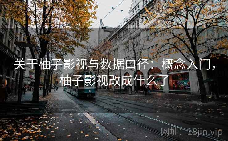 关于柚子影视与数据口径：概念入门，柚子影视改成什么了