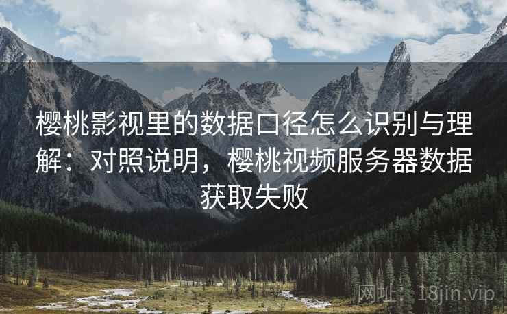樱桃影视里的数据口径怎么识别与理解：对照说明，樱桃视频服务器数据获取失败