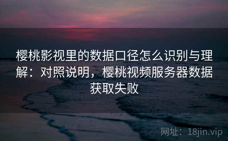 樱桃影视里的数据口径怎么识别与理解：对照说明，樱桃视频服务器数据获取失败