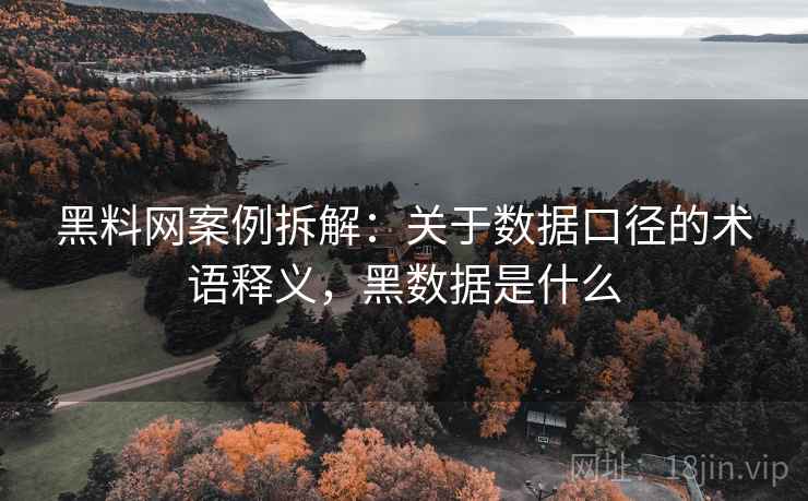黑料网案例拆解：关于数据口径的术语释义，黑数据是什么
