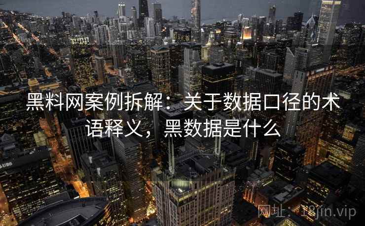 黑料网案例拆解：关于数据口径的术语释义，黑数据是什么