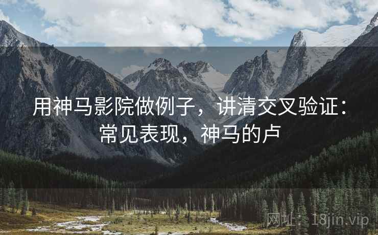 用神马影院做例子，讲清交叉验证：常见表现，神马的卢