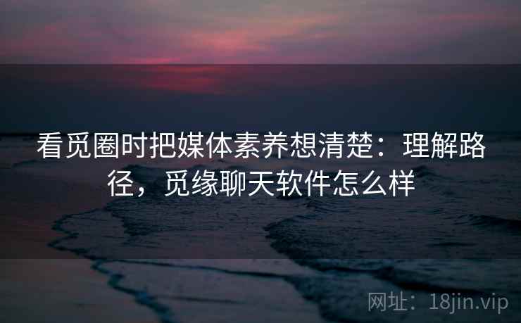 看觅圈时把媒体素养想清楚：理解路径，觅缘聊天软件怎么样